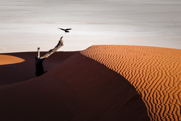 &copy; Peter Carroll